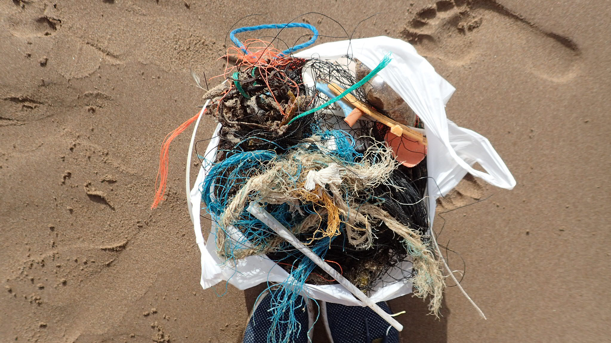 Sam certainly picked up the most plastic on this beach clean